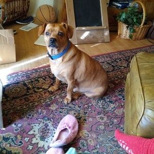 Meet your Posher, Shelly